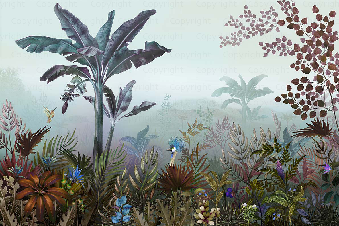 Amazon A320 - Slika 5