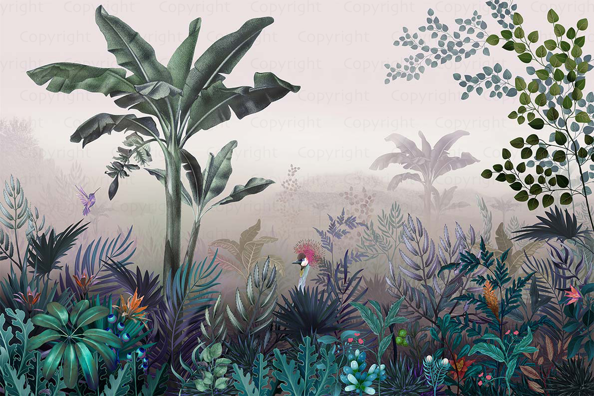 Amazon A320 - Slika 3